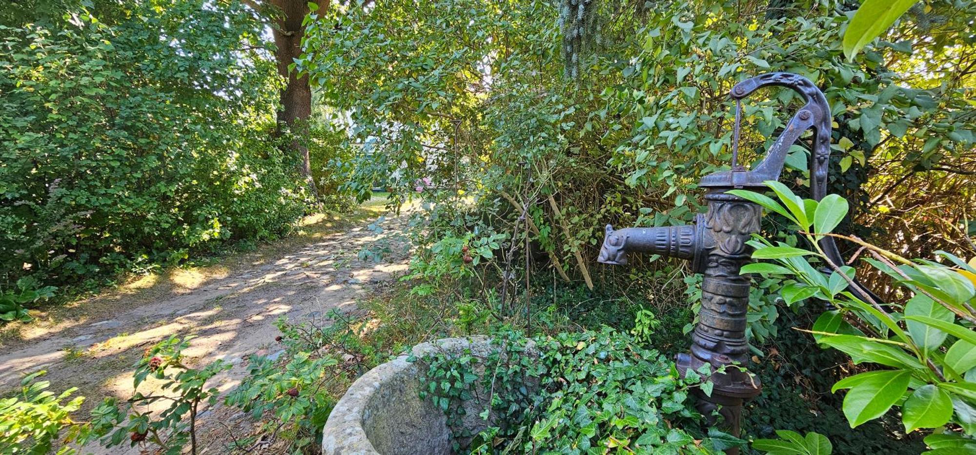 F -Haus Fh10 "Die Alte Muehle" Graal-Mueritz Exteriér fotografie
